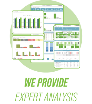 We provide reporting and analysis title text. Online dashboard and offline report images.