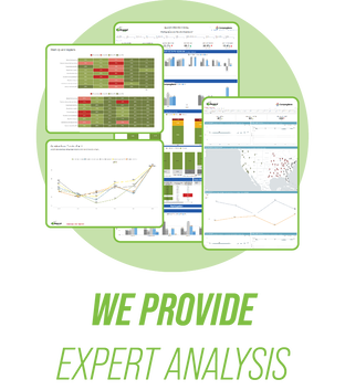 We provide reporting and analysis title text. Online dashboard and offline report images.