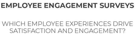 Employee engagement surveys. Which employee experiences drive satisfaction? title text